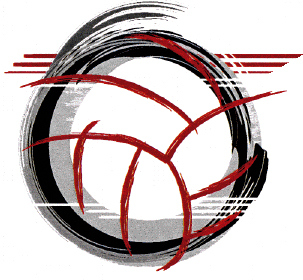 9-emblema-Volleyball