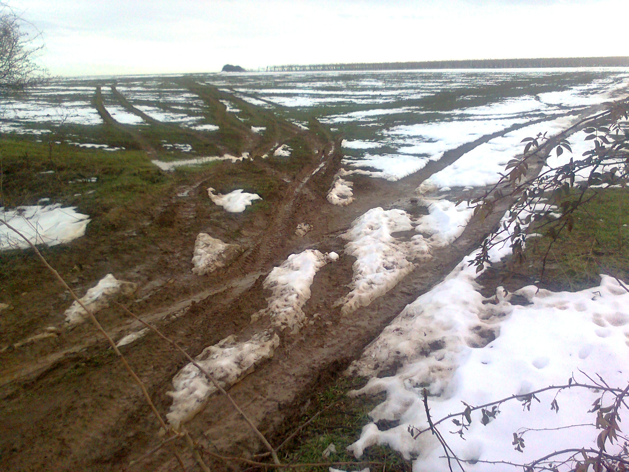 Ловци с джипове унищожават посевите