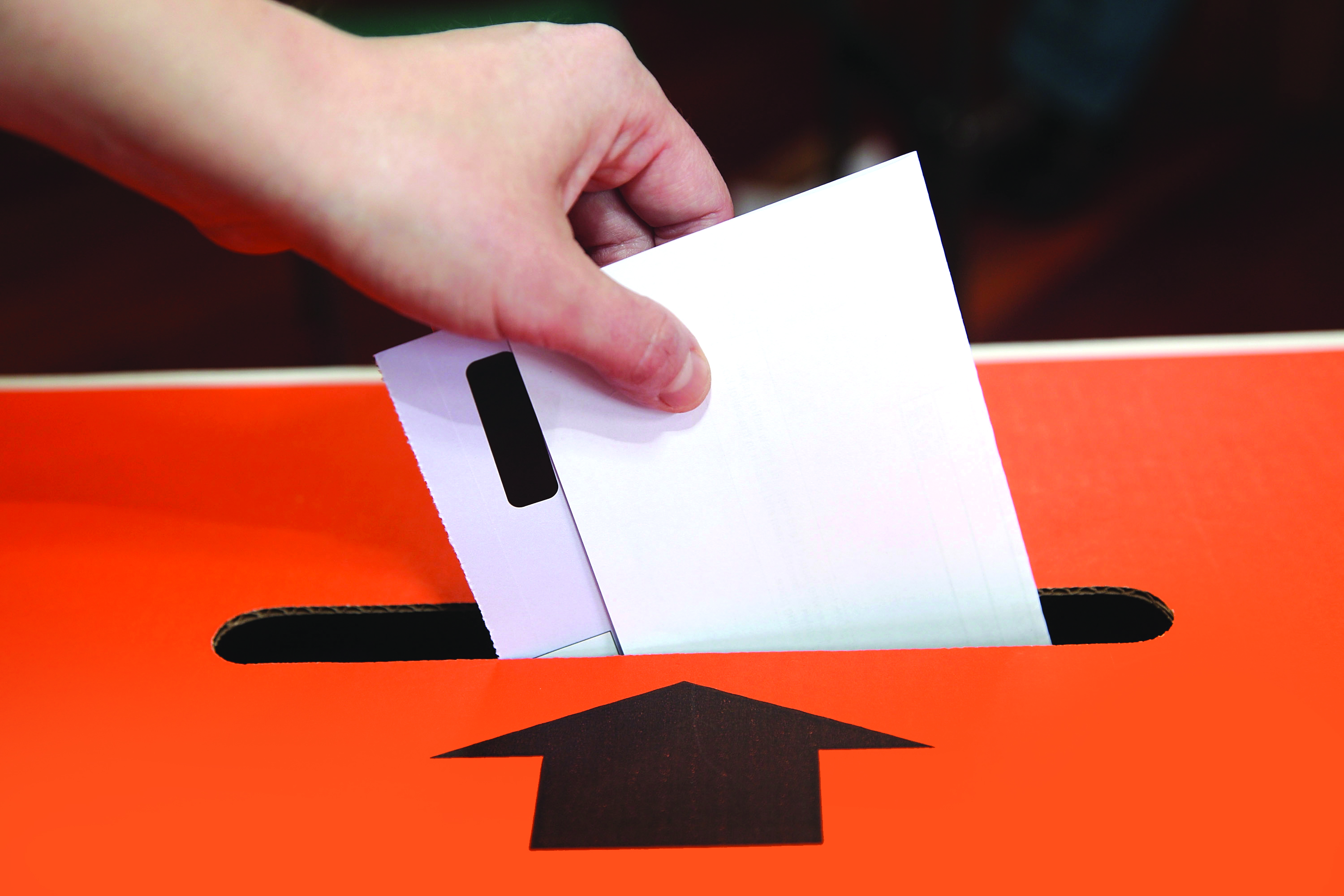 Residents Vote In Mana By-Election