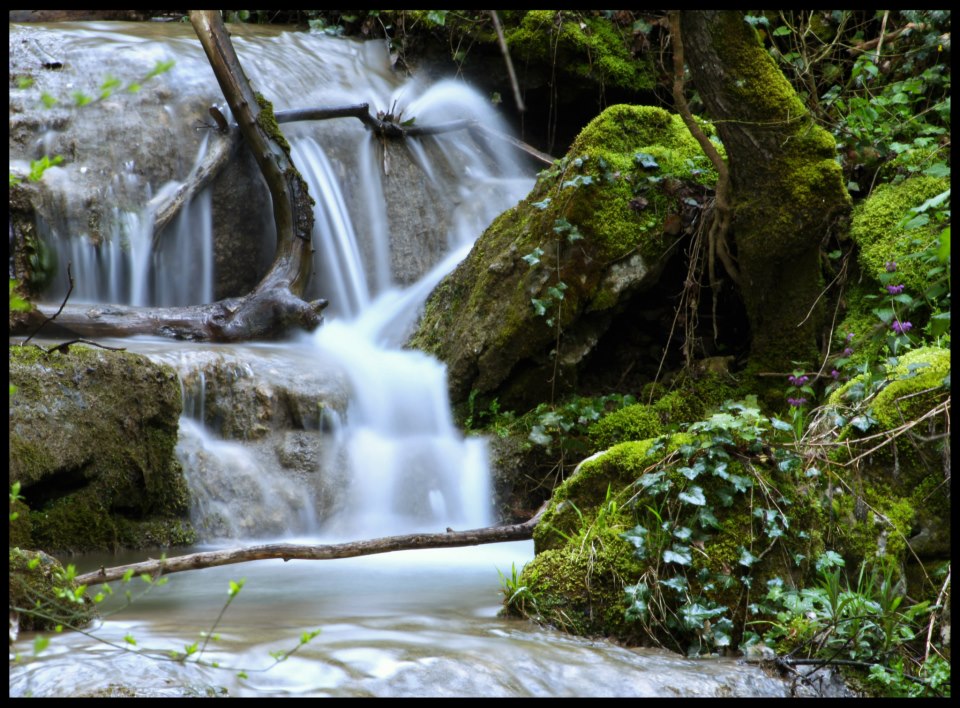 Горещи новини | Кампанията “Движи се и победи” стартира с поход до хижа  “Божур”