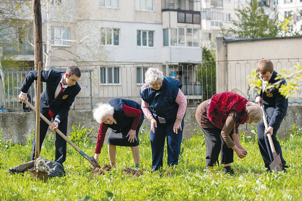 Общество | Колежани от “Аркус” садиха  дръвчета в Старческия дом
