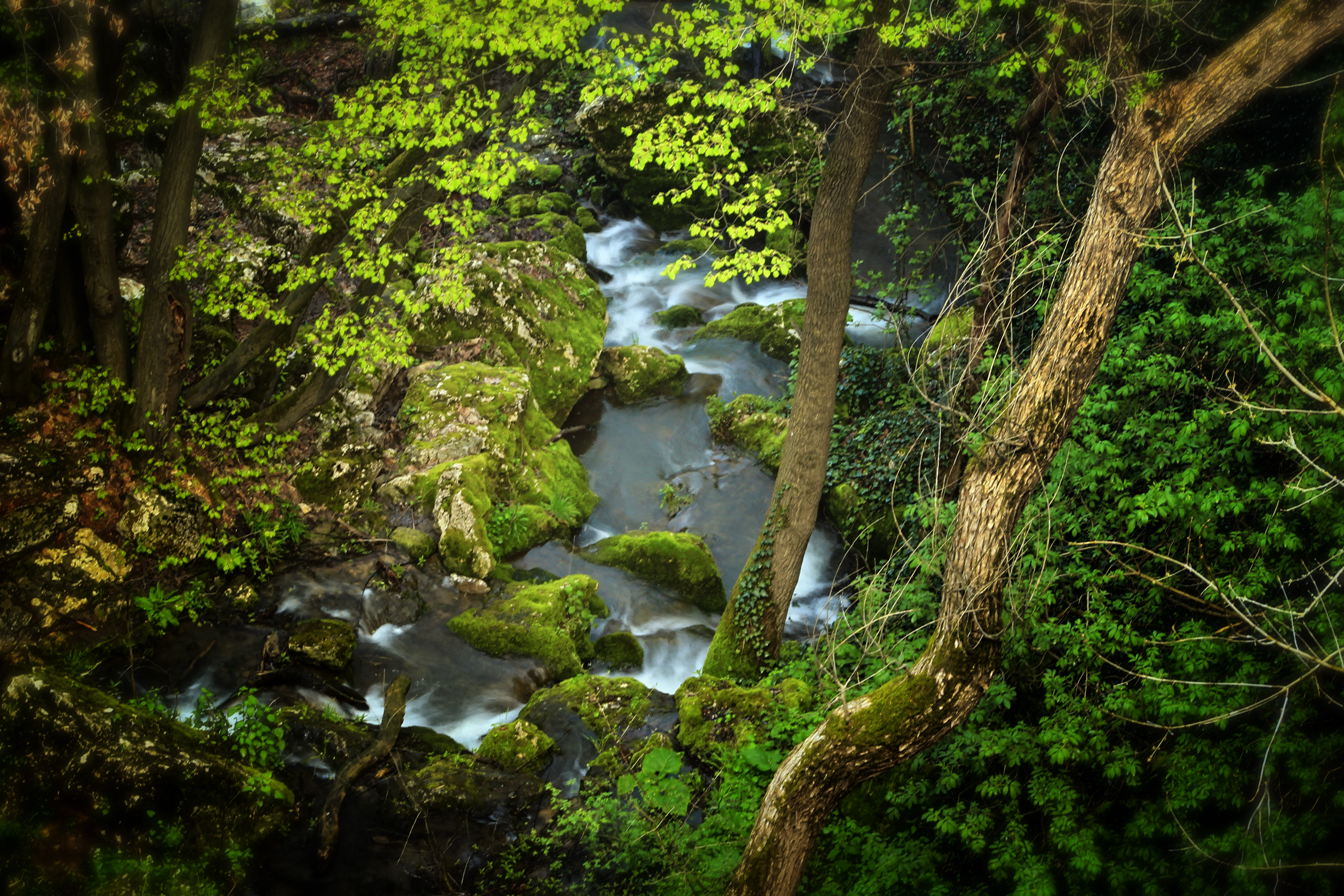 Горещи новини | РИОСВ предупреди кметовете да  опазят от пожари 2260 дка резервати