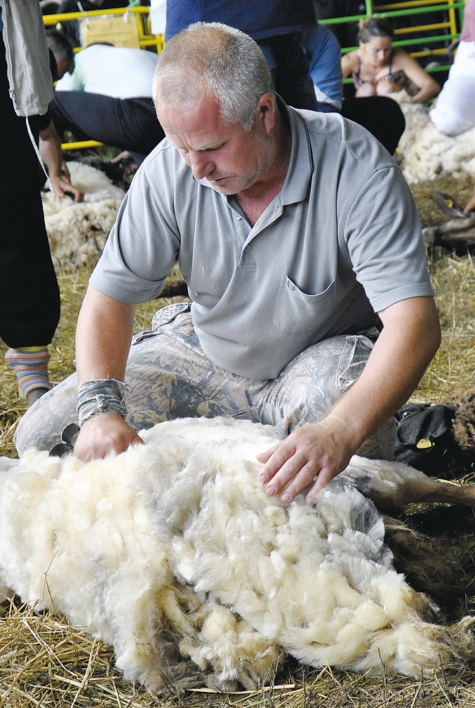 Чевермета, гайди и аукциони имаше край Петропавловския манастир