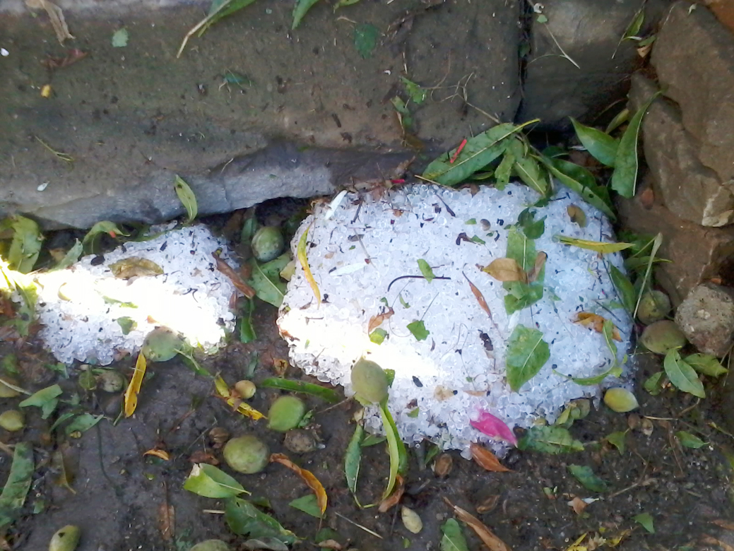 Общество | Градушка помля село Габровци