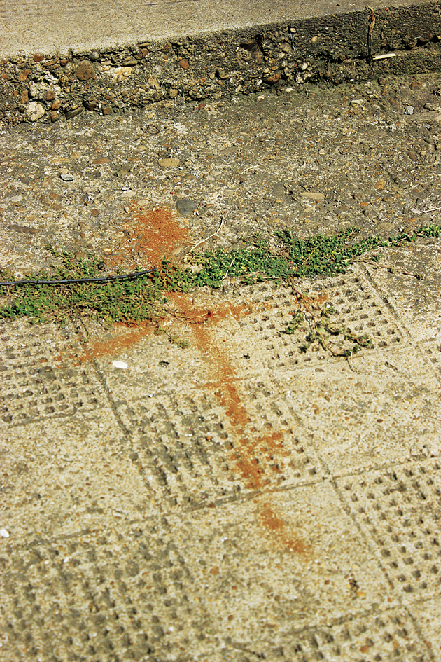 Общество | Червени кръстове   на кръстопът   стреснаха Никюп