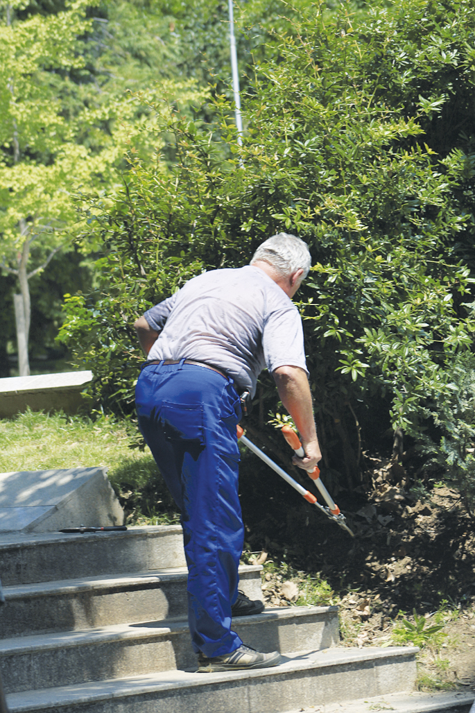 Общество | Напаст от бълхи и комари във Велико Търново