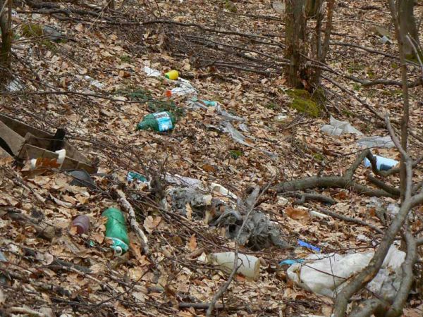 Свищов | Забрана в Свищов за нерегламентираното изхвърляне на отпадъци