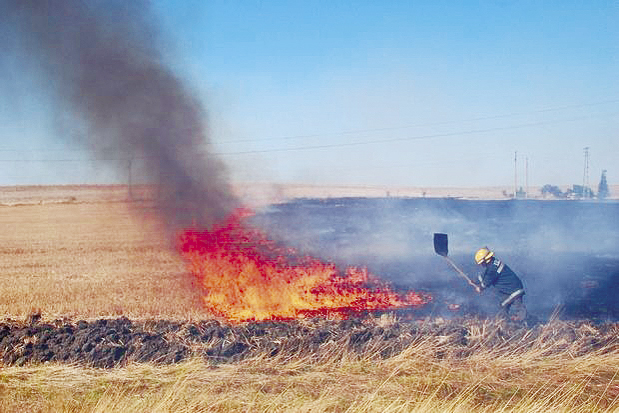 Общество | Огнеборци гасиха 7 пожара в сухи треви