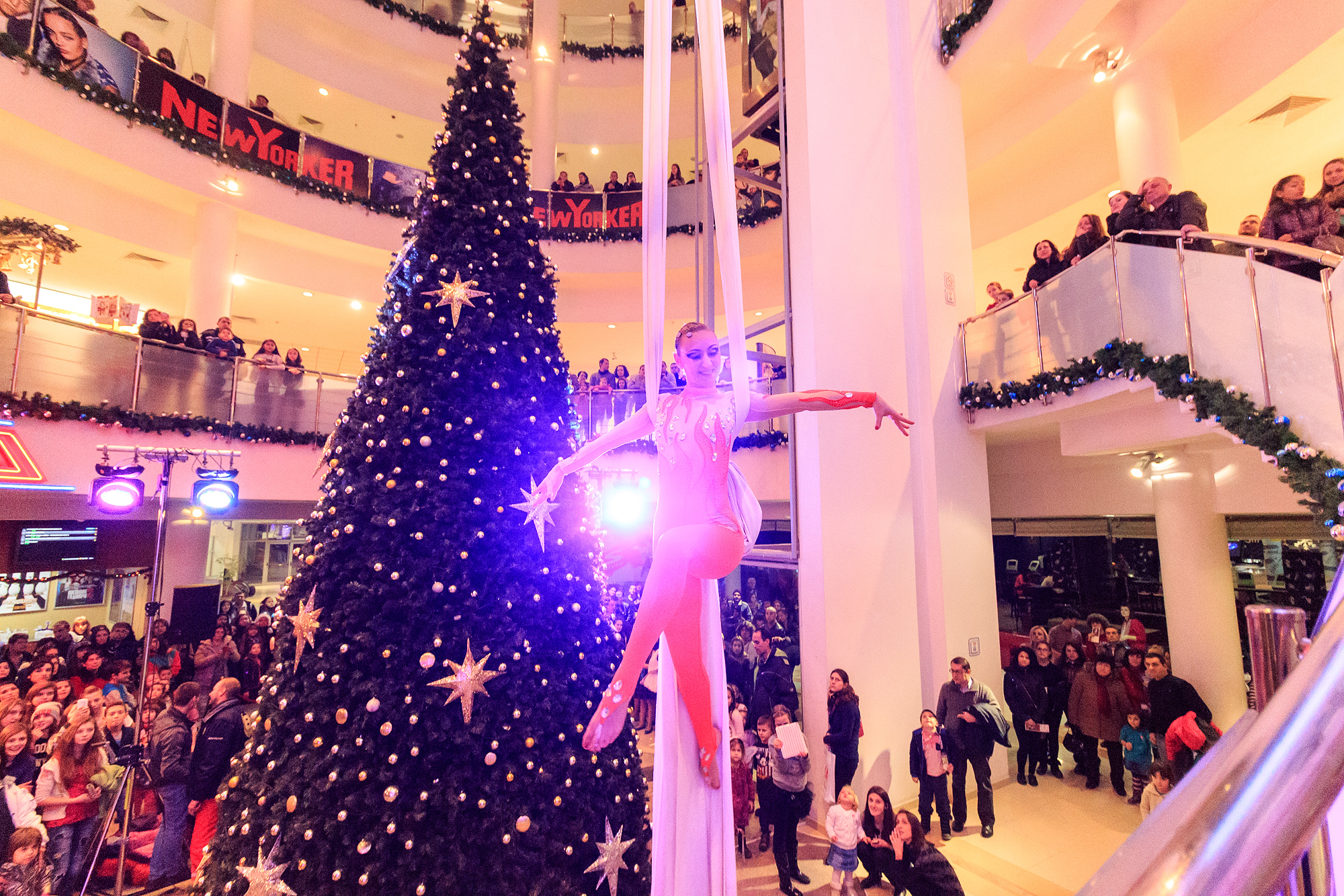 Изборът на фоторепортера | В Mall Велико Търново запалиха Коледните светлини