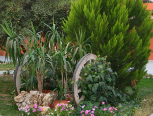 Горещи новини | Във В. Търново стартира  проектът „Моята градинка”