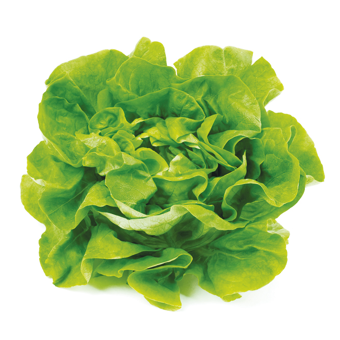 1-Lettuce