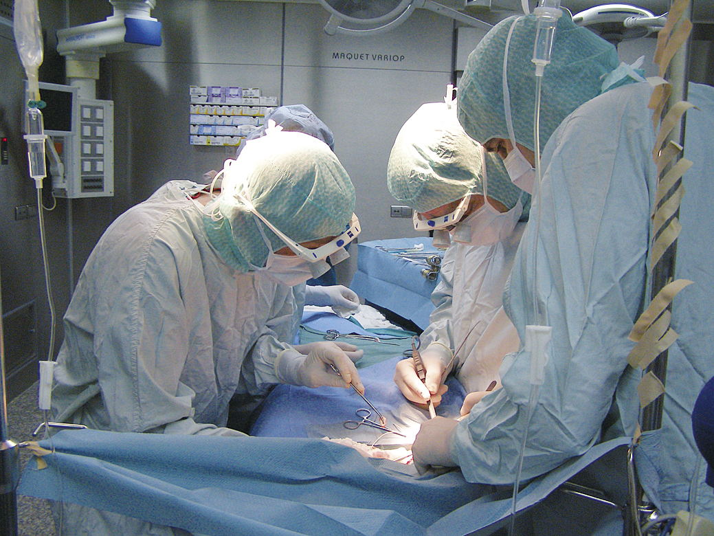 Д-р Мария Рачева, председател на Сдружение на лечебните заведения по онкология: Закриването на Комплексния онкоцентър ще бъде грубо нарушение на правото за медицинска помощ