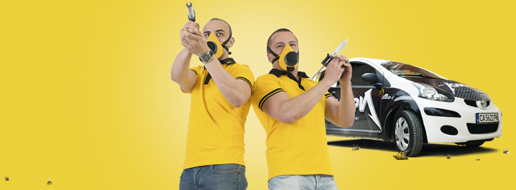 Здраве | В “Дезинфекционната станция Велико Търново” ЕООД: “Килъри” за бързо реагиране  изпълняват безупречно поръчки за борба с насекоми и гризачи