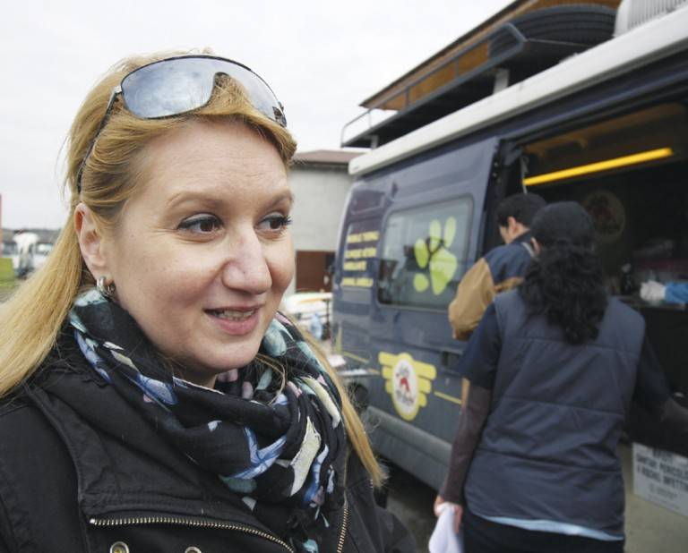 В мобилна амбулатория : Фондация “Четири лапи” кастрира безплатно кучета и котки във В. Търново