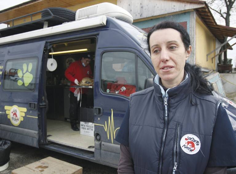 В мобилна амбулатория : Фондация “Четири лапи” кастрира безплатно кучета и котки във В. Търново