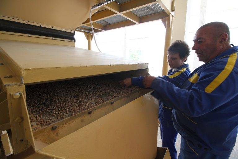 Свищов | В Свищов бе приключен проект, подкрепящ екологичното и устойчиво развитие на региона.