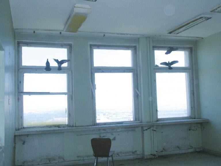 В болницата на Свищов Детско отделение стана гълъбарник,  тотална разруха на три от етажите