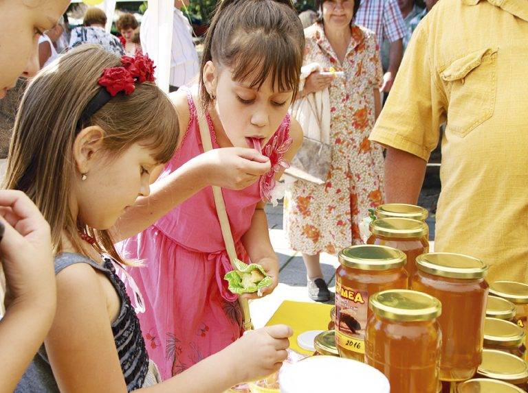 Пчелните продукти помагат при всички болести