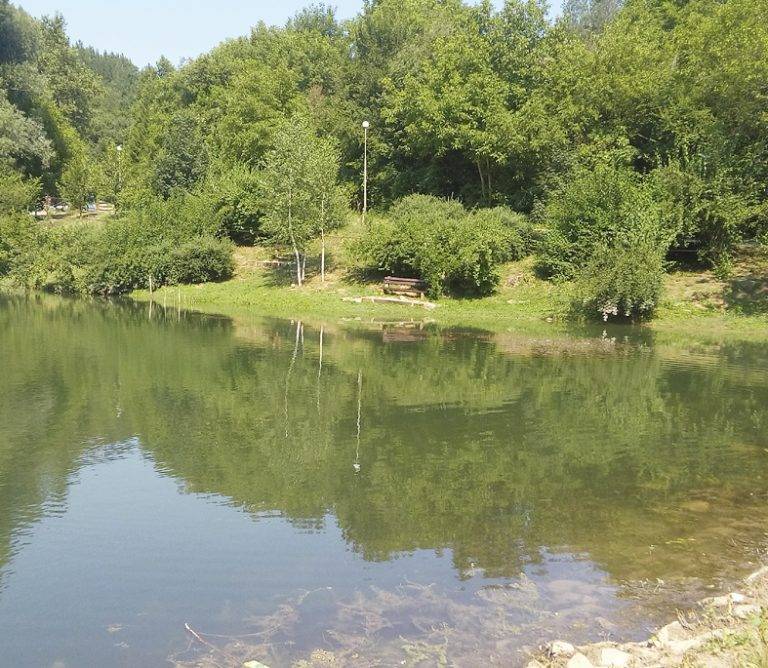 Здраве | Седем семейства се включиха в  третия поход на “Движи се и победи”