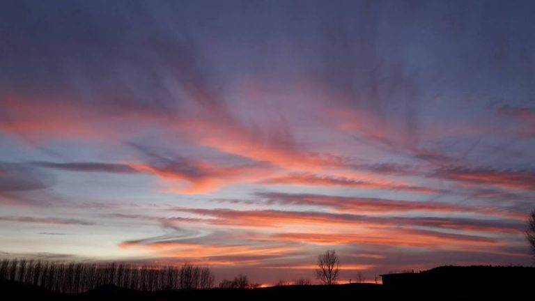 Наградиха победителите в конкурса на  МГЕРБ Свищов „Рисуване със светлина”