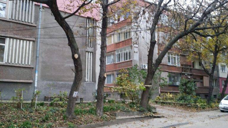 Свищов | В община Свищов кипи засилена подготовка за зимния сезон