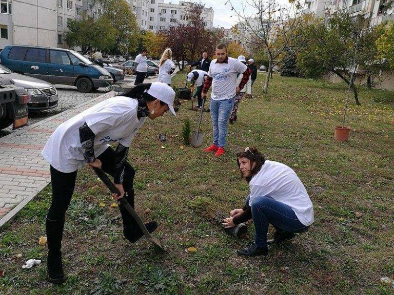 С нови дървета и храсти са облагородени междублокови  пространства в най-големия великотърновски квартал
