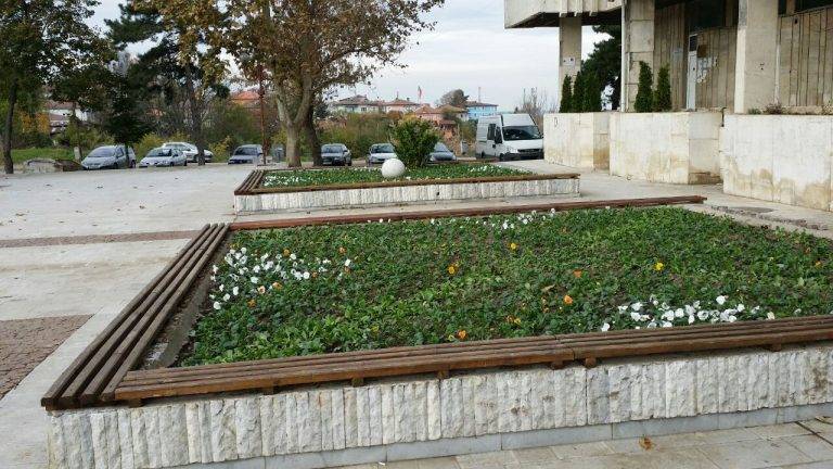 Горещи новини | Над 5 хиляди стръка пролетни цветя бяха засадени в градските паркове на Свищов