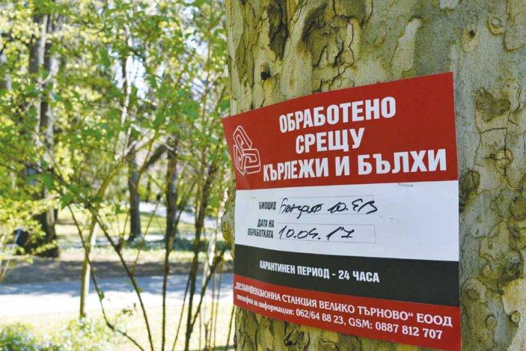 Здраве | Обработват зелените площи срещу кърлежи