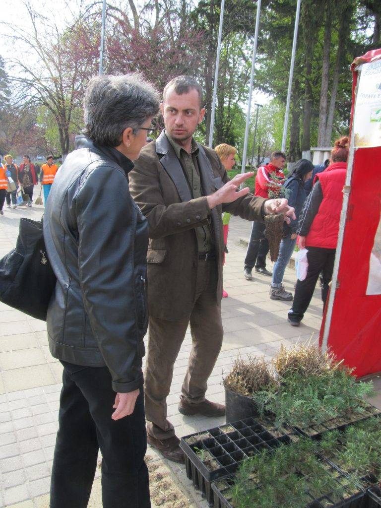 Ученици от лясковската гимназия засадиха 40 дръвчета туя и дъб