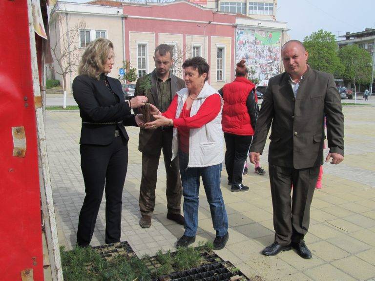 Ученици от лясковската гимназия засадиха 40 дръвчета туя и дъб