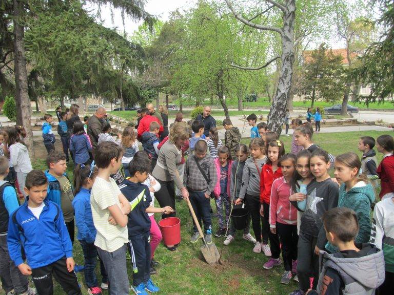 Ученици от лясковската гимназия засадиха 40 дръвчета туя и дъб