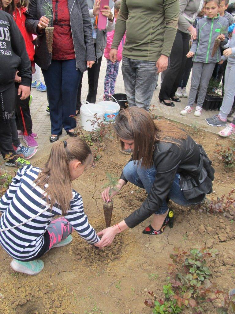 Горещи новини | Ученици от лясковската гимназия засадиха 40 дръвчета туя и дъб