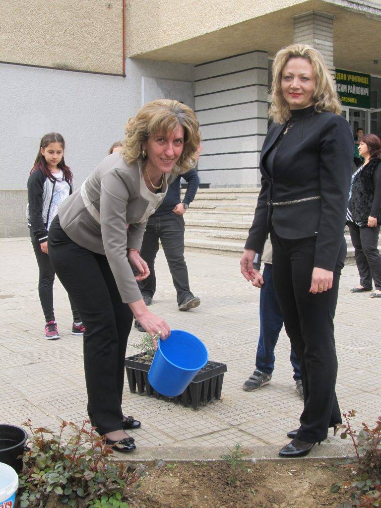 Ученици от лясковската гимназия засадиха 40 дръвчета туя и дъб