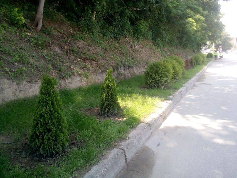 Свищов | Свищов придобива по-приветлив и празничен вид в очакване на празника на града