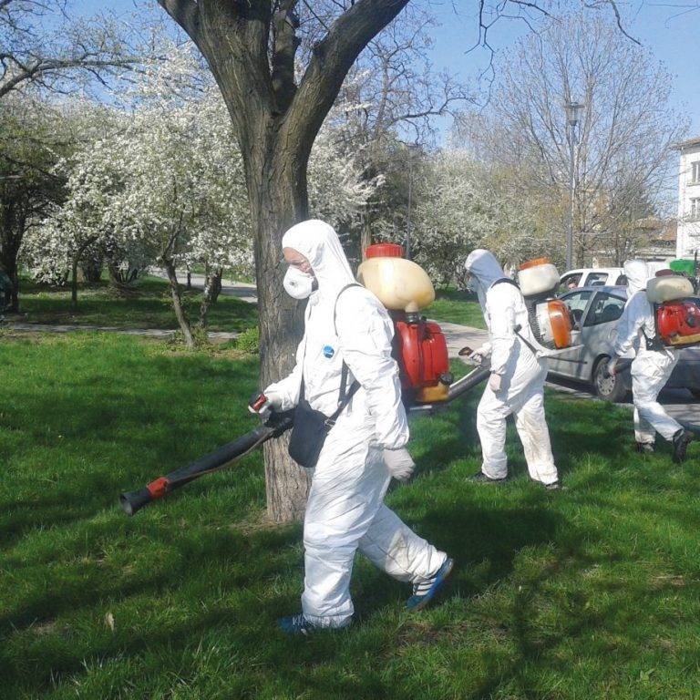 Здраве | Лятото е дълго и кърлежи  дебнат отвсякъде