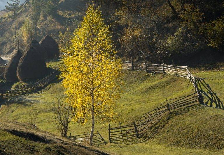Цончо Балканджиев награден със статуетката на Фотографска академия за изключителен принос