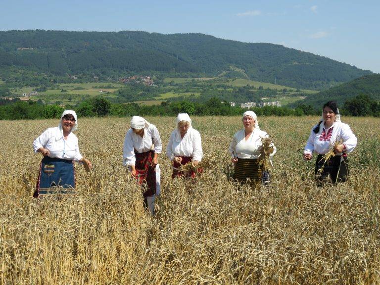 Откриха жътвата в Еленско с ритуал