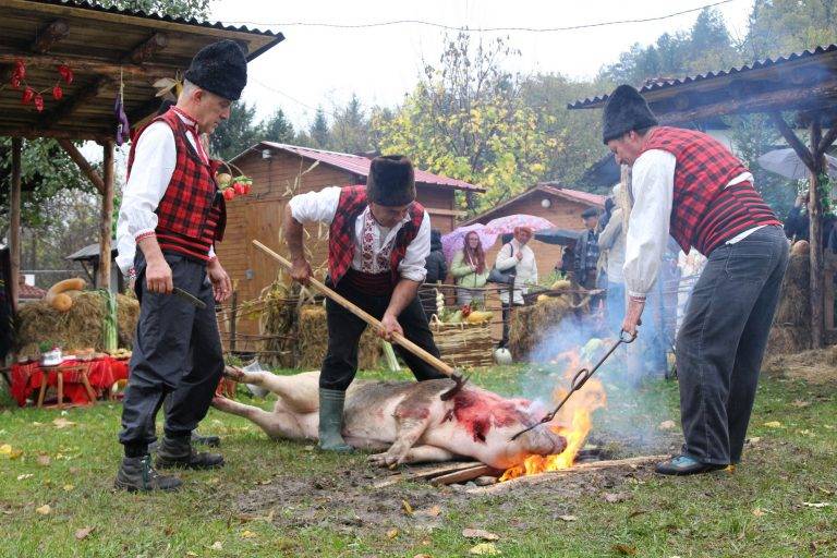 Горещи новини | 10 000 души хапнаха от  прочутия еленски бут