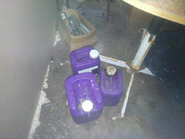 Разкриха оранжерия за отглеждане на марихуана в Павликени