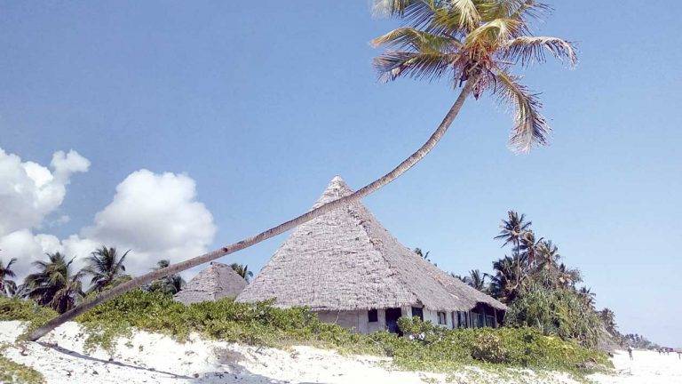 Общество | Търновка покори Килиманджаро,  обиколи Танзания и Занзибар