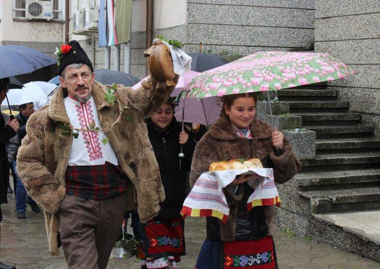 Кметът Даниел Панов заряза ритуално лозите в Килифарево