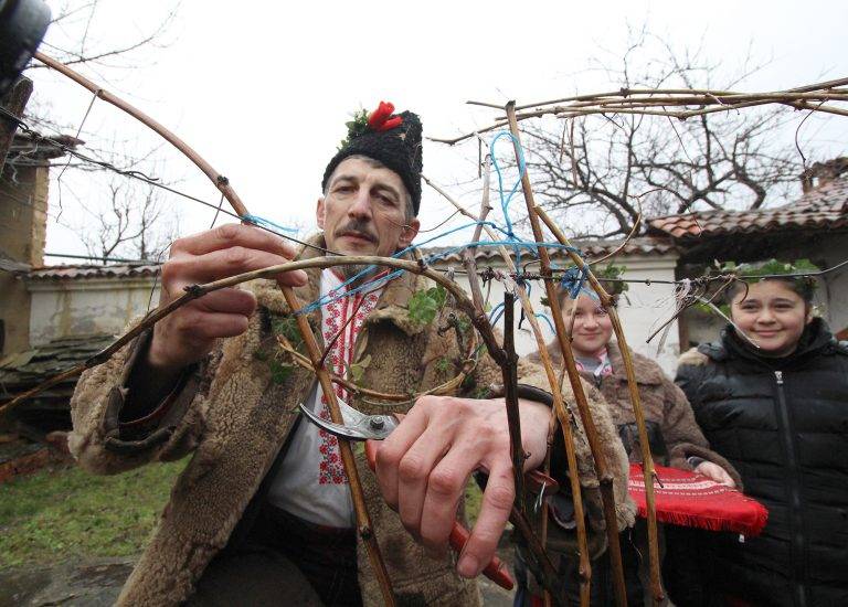 Кметът Даниел Панов заряза ритуално лозите в Килифарево