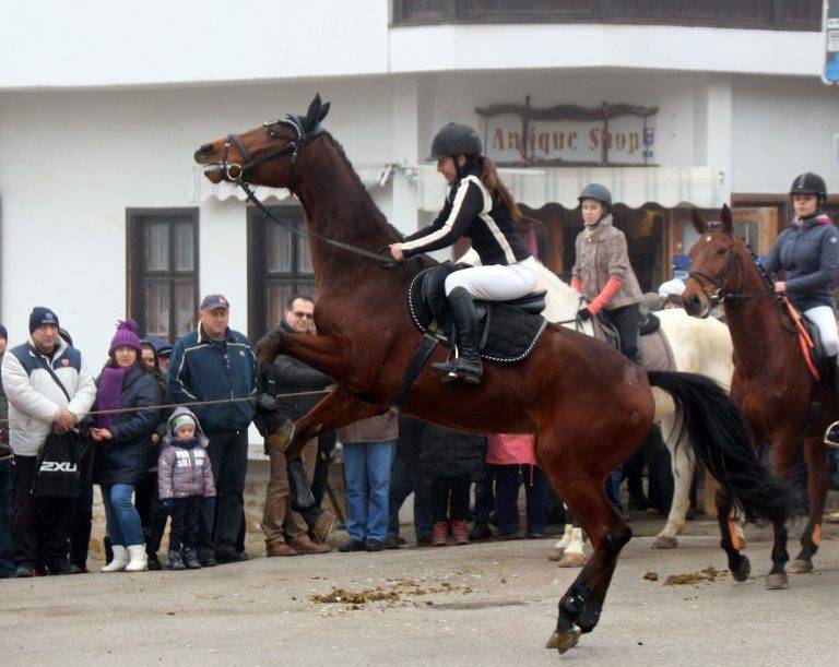 Любомир Янков с Валеско спечелиха  приза за най-гиздав кон в Арбанаси