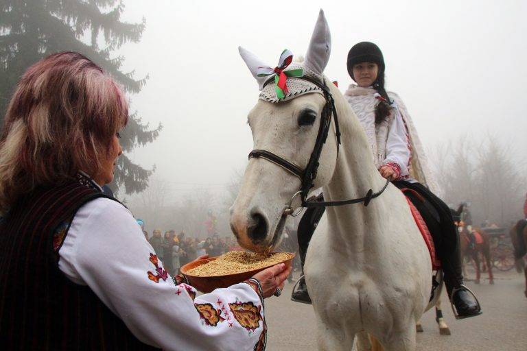 Любомир Янков с Валеско спечелиха  приза за най-гиздав кон в Арбанаси