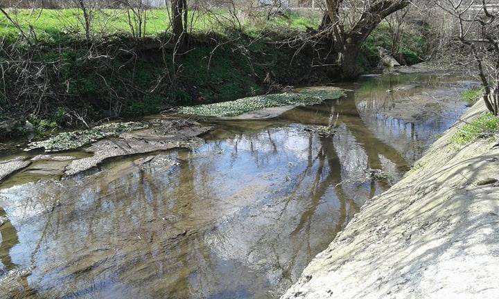 Горещи новини | Кравеферма мърси с фекалии  единствената изворна чешма в Никюп