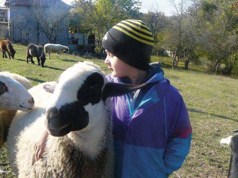Здраве | Във веселата ферма в Хотница  лекуват деца с анималотерапия