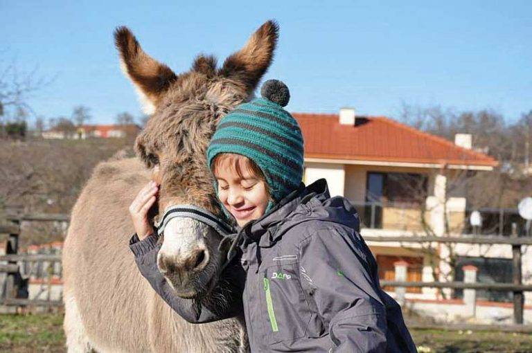 Във веселата ферма в Хотница лекуват деца с анималотерапия