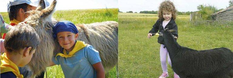 Във веселата ферма в Хотница лекуват деца с анималотерапия