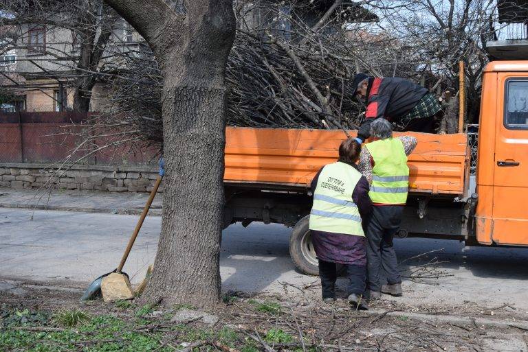 Горещи новини | Премахват опасните клони в Г. Оряховица