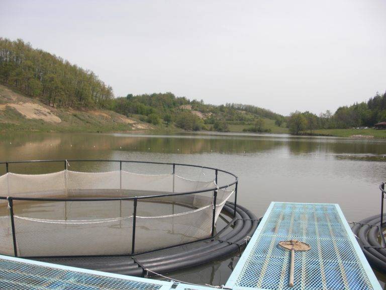 Горещи новини | Състезание по риболов организира община Елена